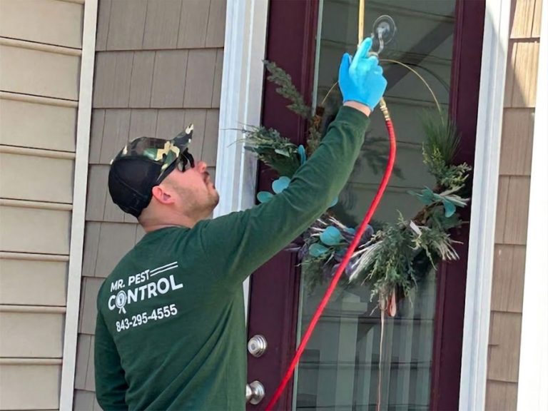 Why Year-Round Pest Control Beats One-Time Treatments in the Lowcountry