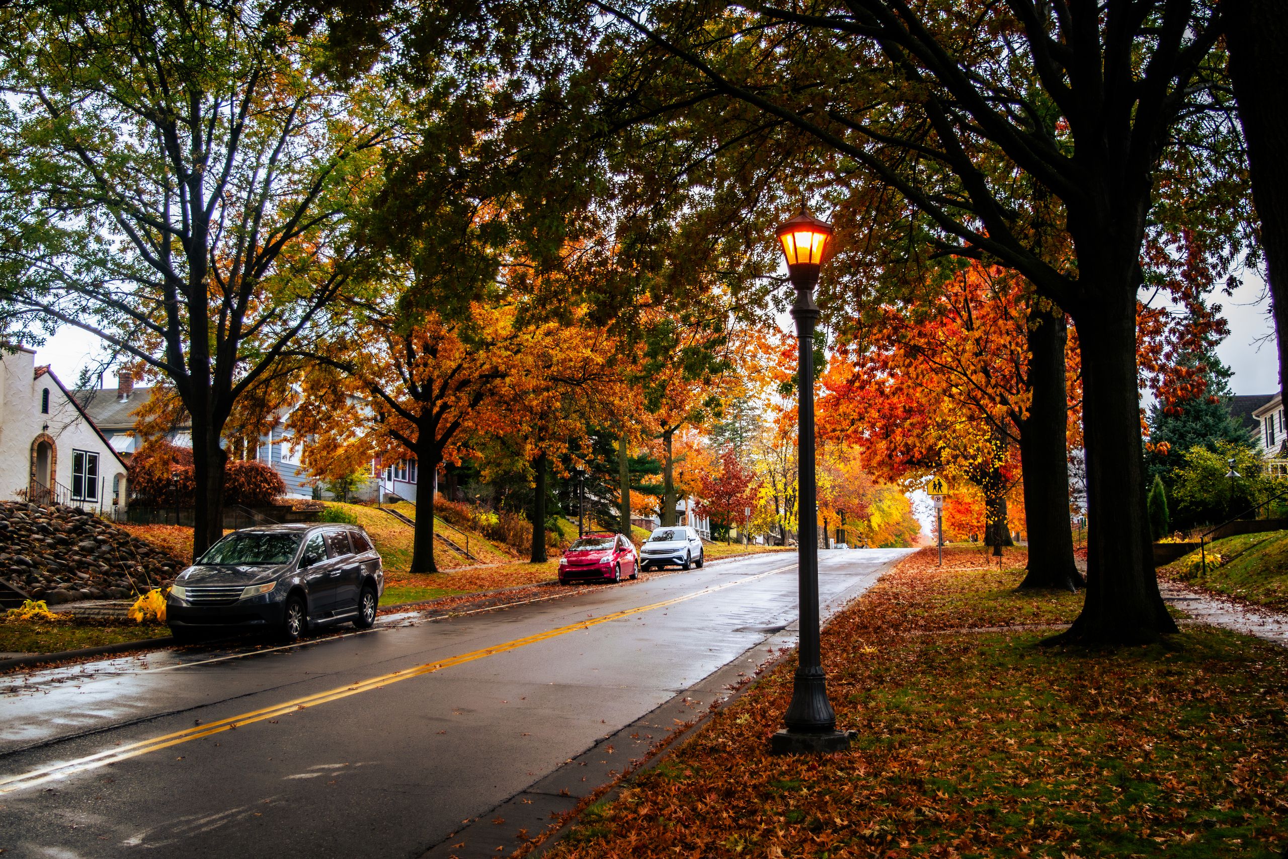 A picturesque neighborhood street in fall with vibrant autumn foliage and wet pavement.