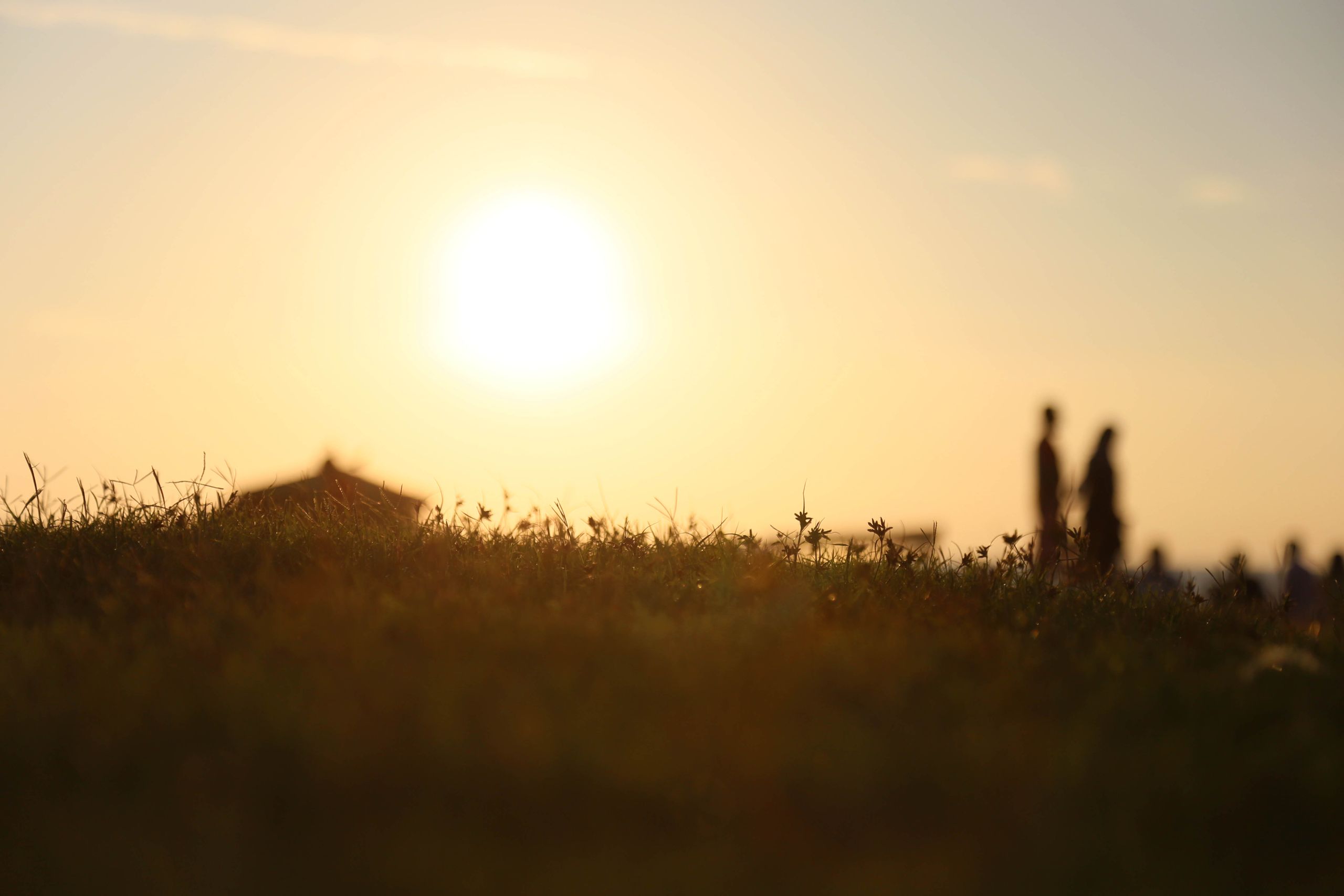 Two silhouettes walking in a sunny meadow at sunrise, creating a peaceful rural scene.